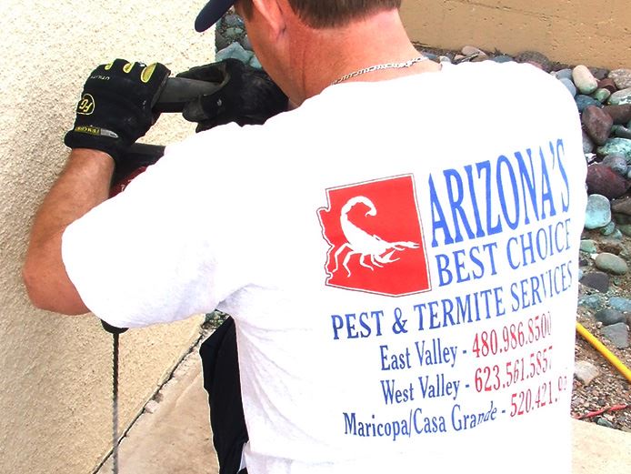 Here Are 5 Common Winter Pests in Phoenix, Arizona - Mesa AZ Pest Control