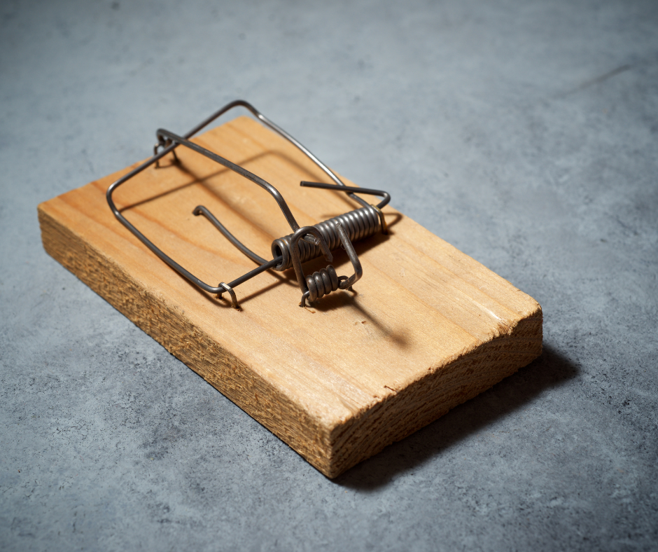 Best Rodent Control Near Me – Find Professional Rodent Control Service